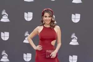 20th Annual Latin GRAMMY Awards - Arrivals