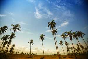 Benin-la-pequena-joya-2.jpg