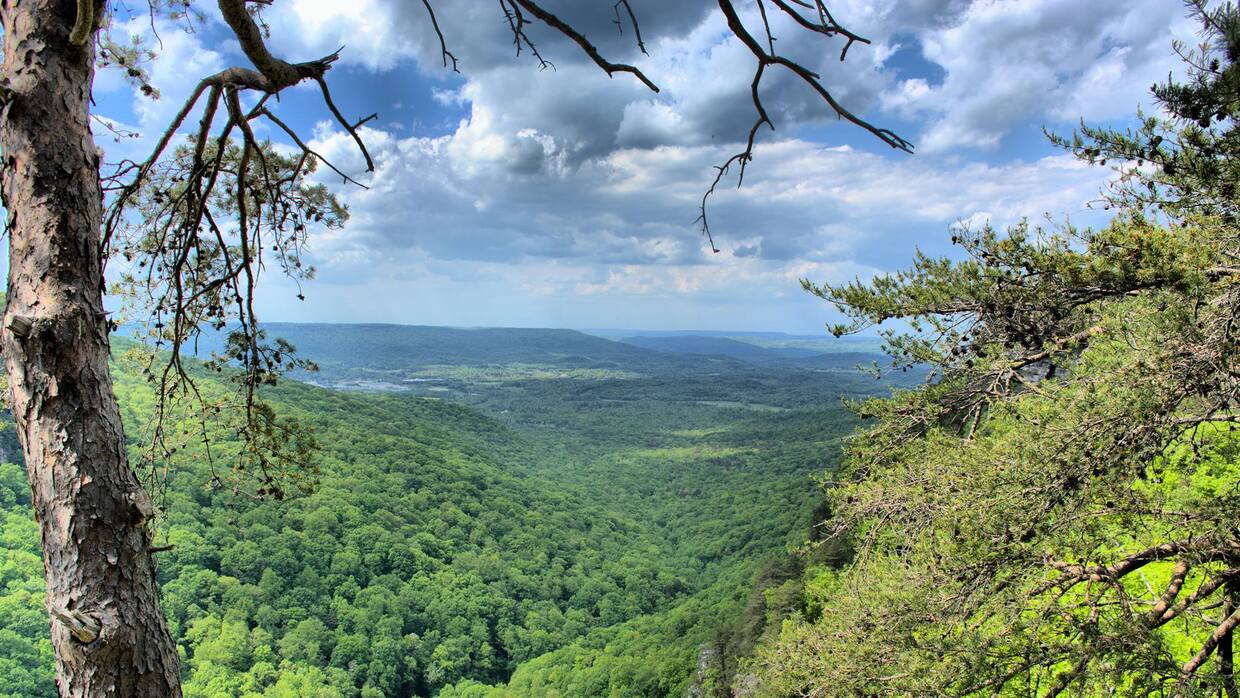 Los mejores lugares para acampar en Georgia | Fotos | Univision 34