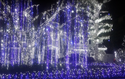 Google_Local_Guide_jacky luong_Christmas Tree Lane.png