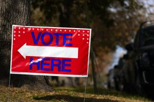 Voto vote elecciones