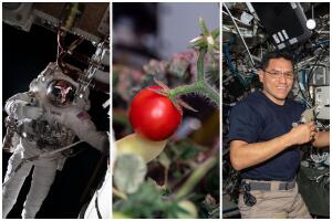 Caminatas espaciales, cultivo de tomates y estudios de energía: así fue el año que pasó el astronauta Frank Rubio en el espacio