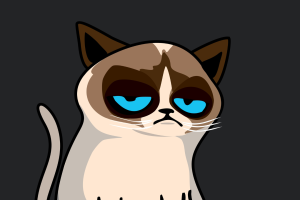 Meme de gato molesto