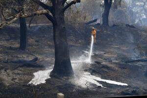 A CFA firefighter sprays water after a fire impacted Clovemont Way, Bundoora in Melbourne