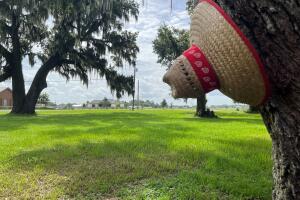 Campos de cultivo Plant City, FL.