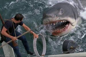 jaws.jpg