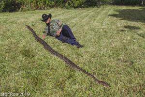 Everglades Python/Python 2-7.jpg
