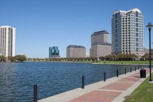 A View of the Skyline Austin