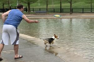 PERROS GALERIA/5-PERRO.jpg