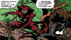 Dos son más que uno: los gemelos en los cómics que te harán estremecer