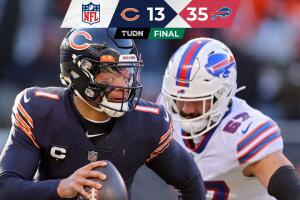Bears Bills