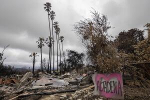 Tormenta en Los Ángeles: alerta por posibles inundaciones, deslaves y evacuaciones