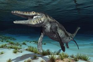 mosasaurus-reptil-cretacico-01.jpg