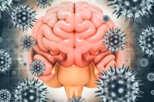 cerebro-virus-covid-0422-1400x800