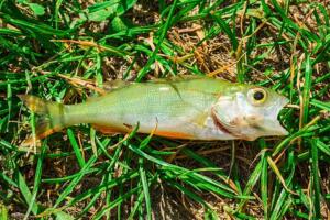 The City Of Texarkana.jpeg