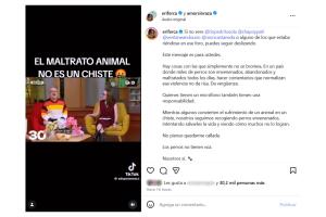 La rescatista Erika Fernández expresó su molestia ante los comentarios de Pedro Sola.