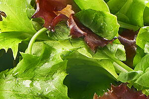 salada-folhas-texto.jpg