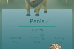 Spark Implemented Pokémon Appraisal