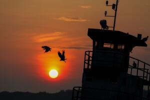 Científicos advierten devastadoras consecuencias por el calentamiento global