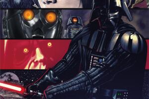 Darth Vader 25 variante