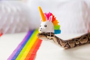reaccion-orgullo13.jpg