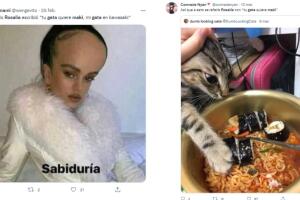 Chicken Teriyaki Rosalía.jpg