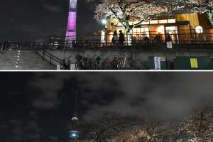 TOPSHOT-COMBO-JAPAN-ENVIRONMENT-ENERGY-EARTH HOUR