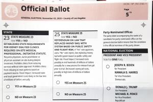 LA boleta electoral .jpg