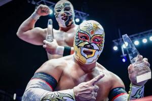 Carístico y Forastero