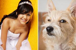 Perrito arruina fiesta a quinceañera y ella ni se dio cuenta: le orinó el vestido durante el vals