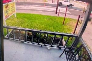 Agentes de ICE participaron en un operativo migratorio en el área de Magnolia Park, Houston, donde un hombre identificado como Lorenzo Salgado Araujo murió tras recibir disparos.