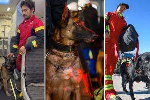 perros_rescatistas_mexico