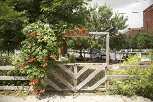 El Paseo Community Garden