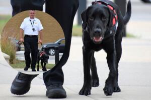 perro-terapia-policia-orland-park