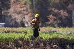 EEUU-INCENDIOS FORESTALES 