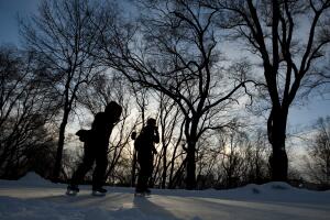 salud manias uñas pelos