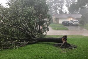 Lydia Yinat Katy 2.jpg