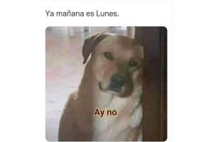 memes-lunes (3).png