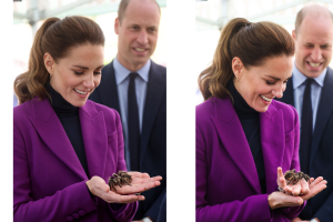 kate-middleton-tarantula.png
