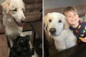 Así se ve Ronald con su nueva familia