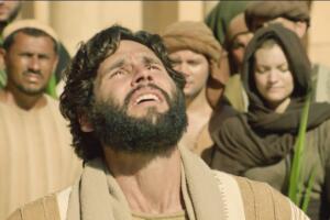 milagros-jesus-28.jpg