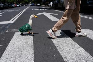 REP-GEN LATINOAMÉRICA EN IMÁGENES-FOTOS