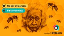¿Se acabará la humanidad en 4 años si desaparecen las abejas? No hay evidencias, pero el mundo cambiaría