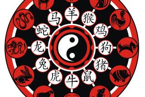 ¡Estamos en el mes de la Rata del Horóscopo Chino!