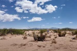 cementerio desierto.jpg