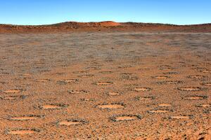 circulos-hadas-namibia_1.jpg