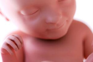 bebe-aprende-utero-2.jpg