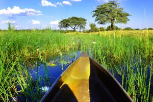 canoa-rio-okavango-1.jpg