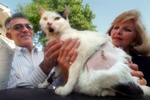 ME.CAT.0621.AAG??KODAK[A]?Hossein Aminzadeh (cq), Spotty, and Joan Murphy pose for a picture outside