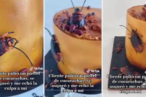 Pastel con temática de cucarachas